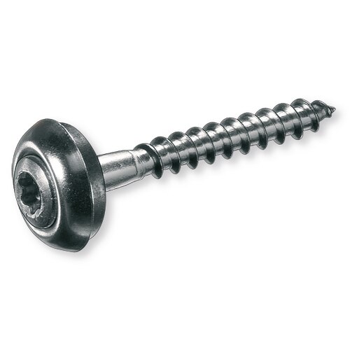 Montageskr 20 T20 4.5X60 A2